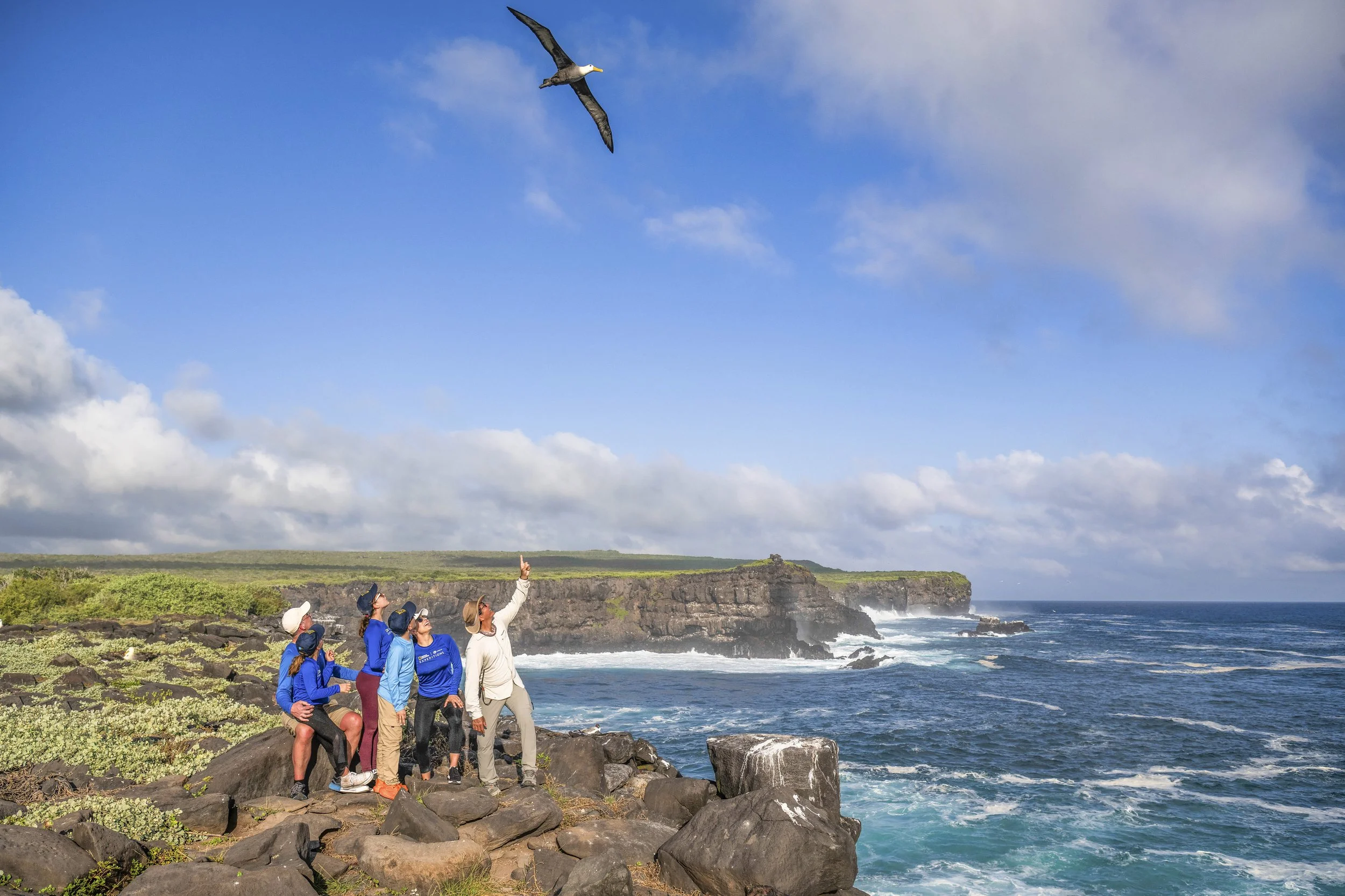 Punta Suarez-2293_1.jpg