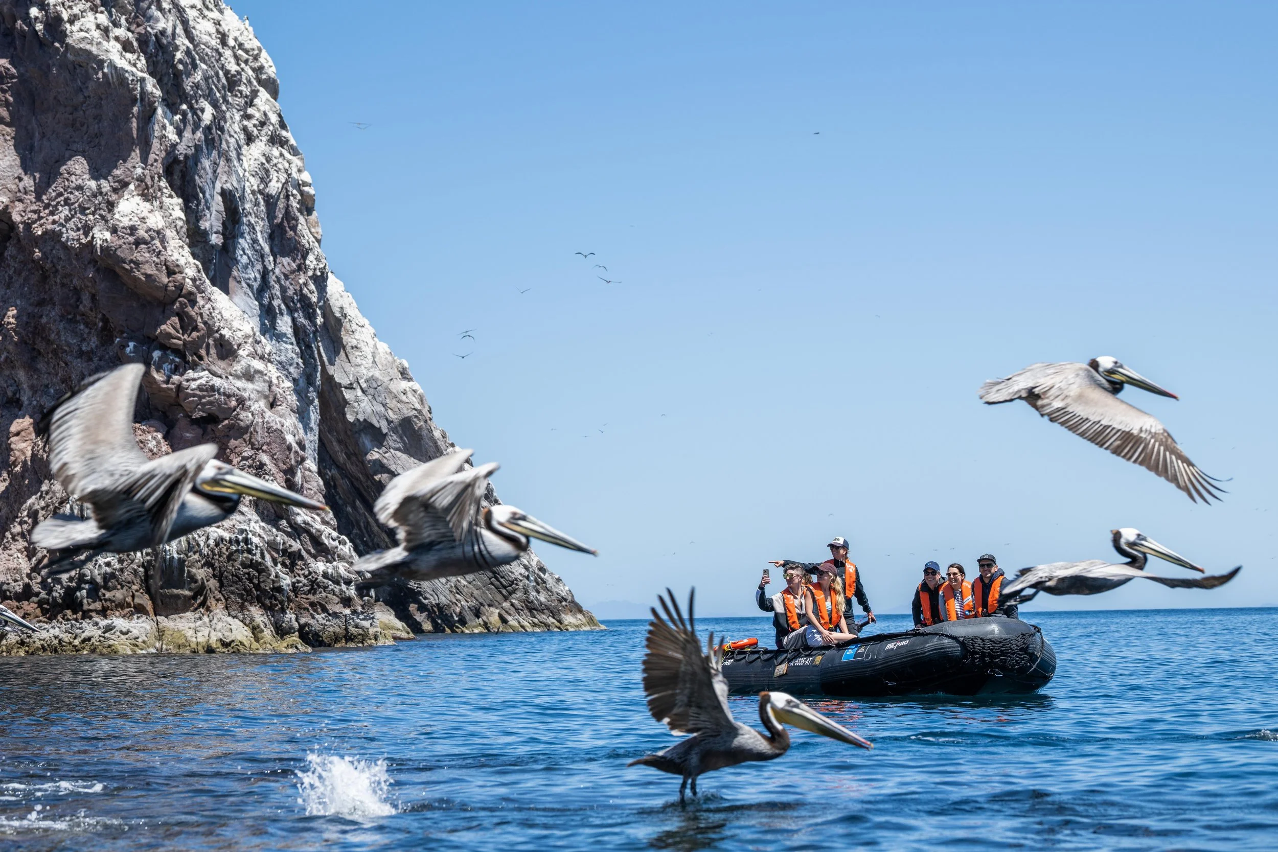 San Pedro Martir_Baja-251.jpg