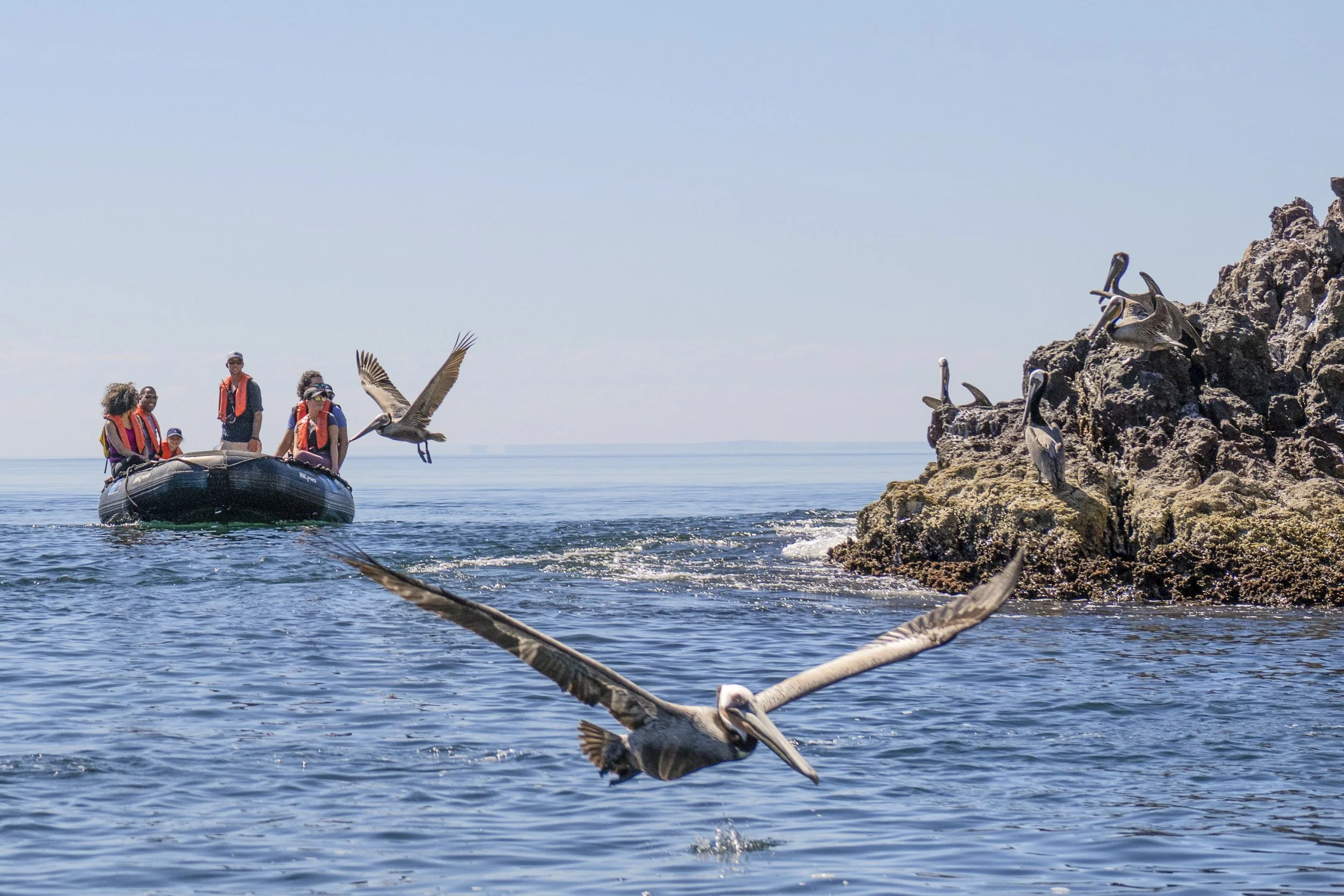 Isla San Ildenfonso-787_1.jpg