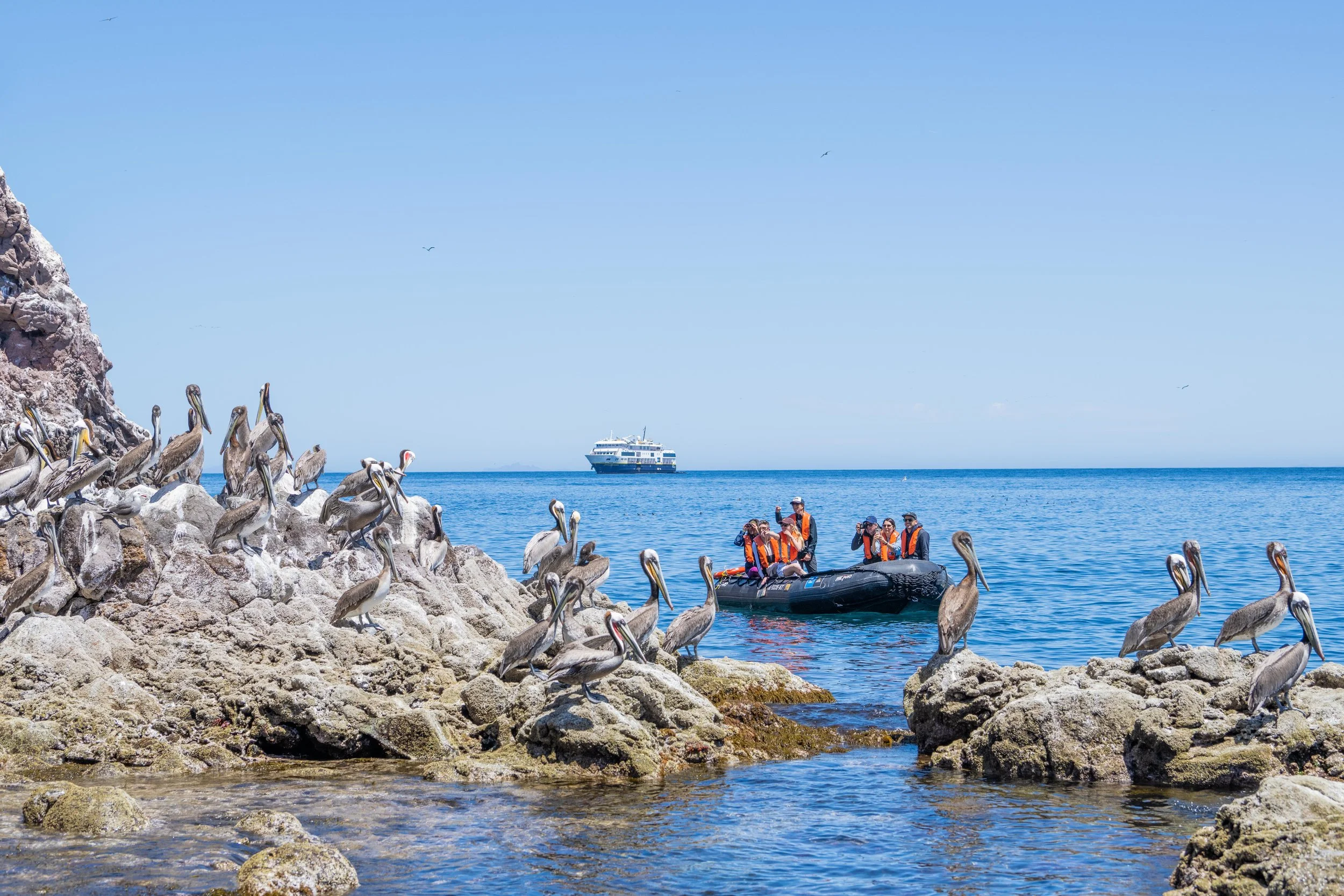 Large RGB-LEX-Mexico Sonora DV-695.jpg