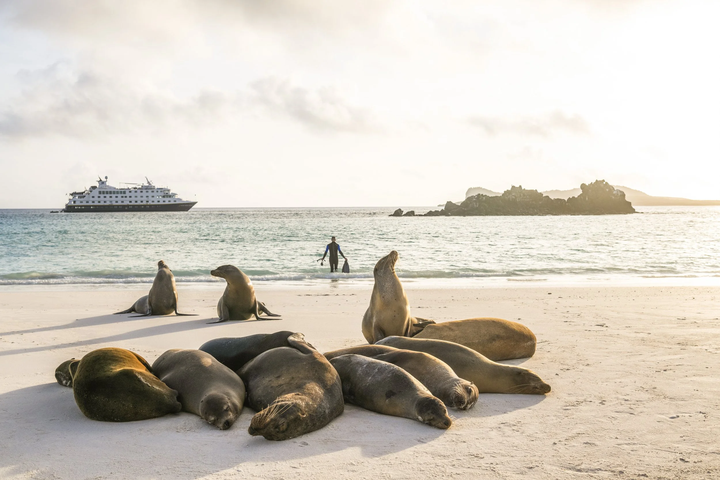 LEX-Ecuador Galapagos Islands Espanola Island DV1498_1.jpg