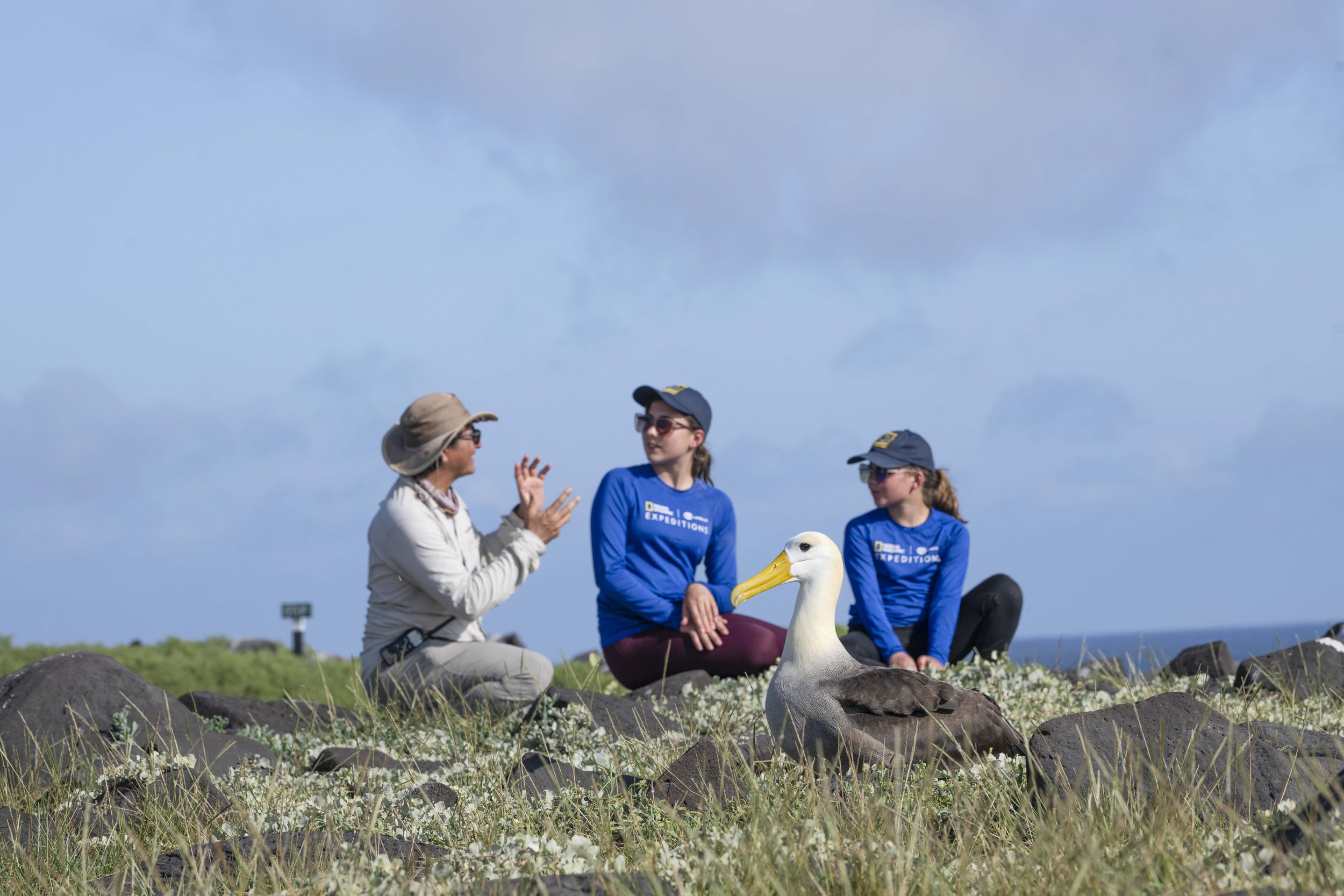 Punta Suarez-953_1.jpg