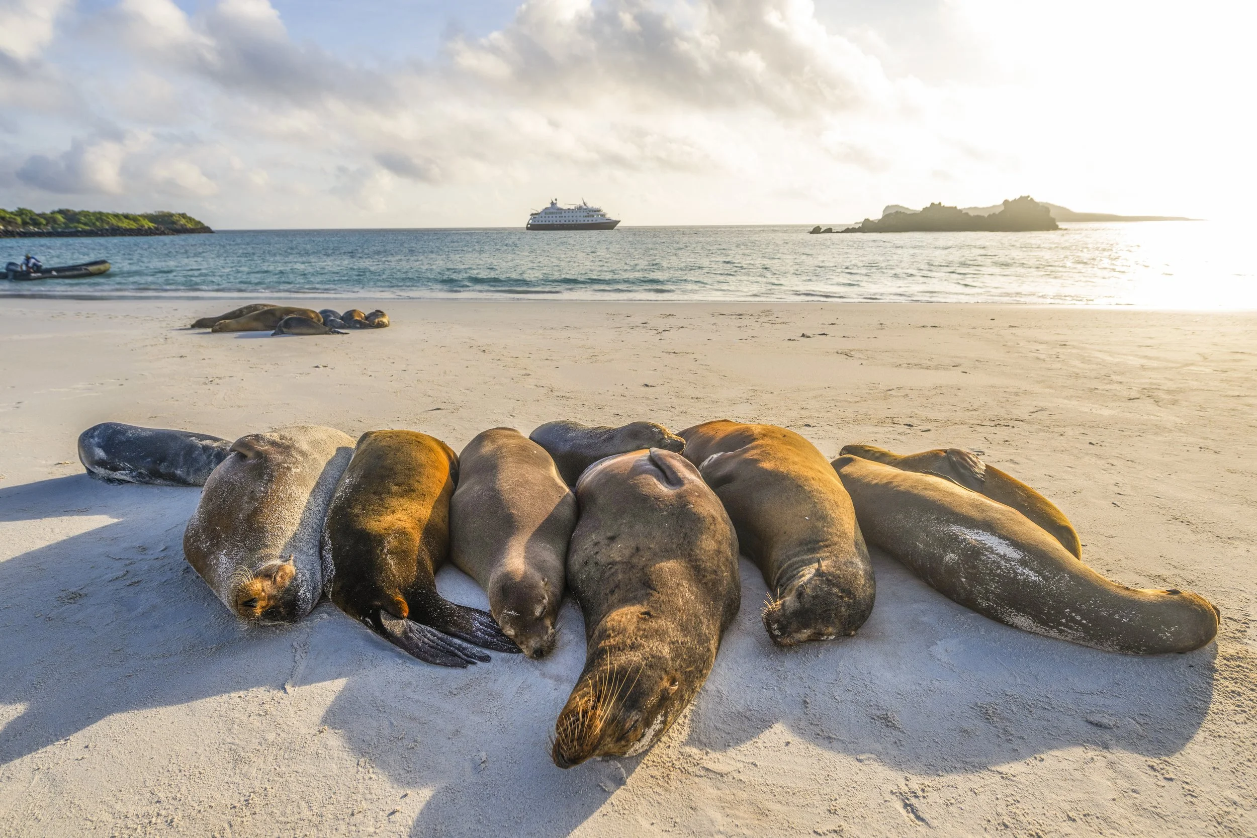 Espanola Island-2432_1.jpg