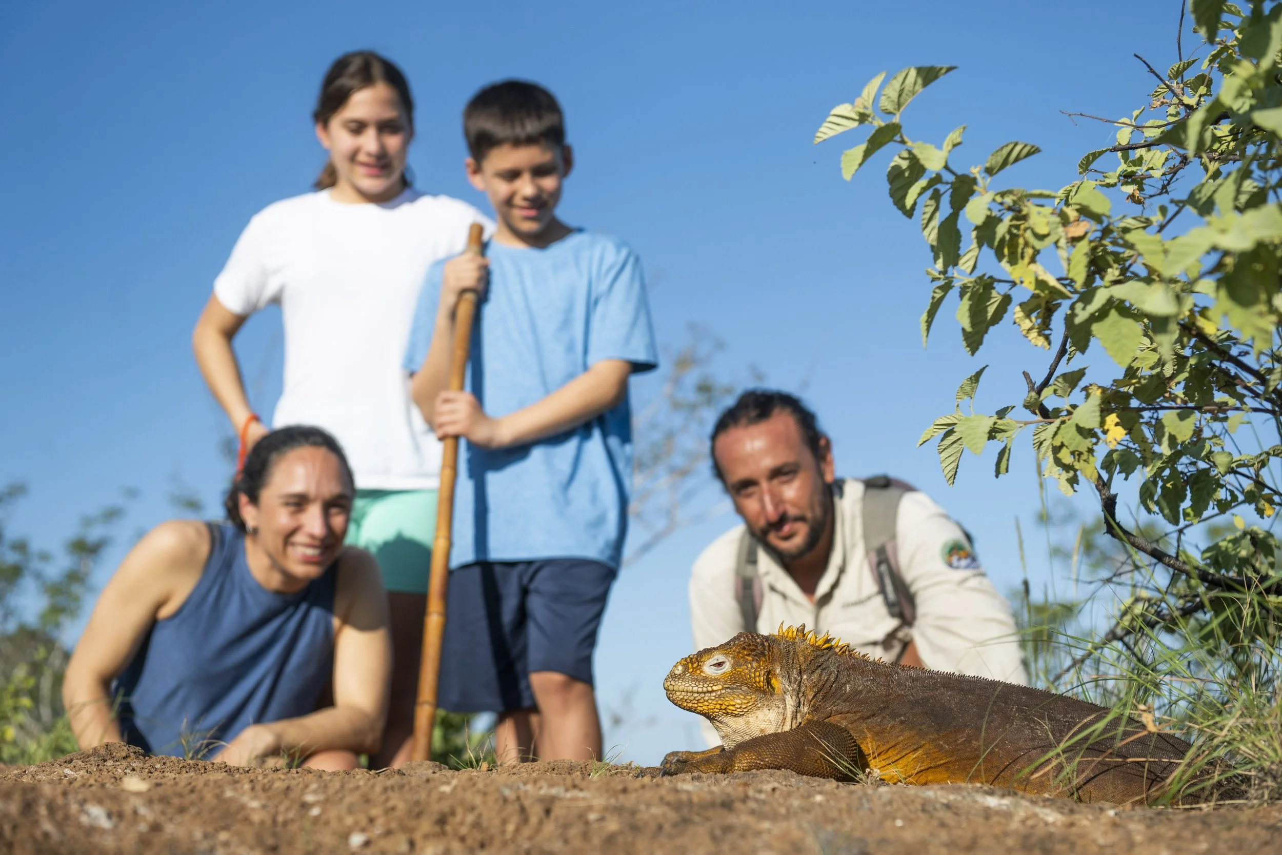 Santa Cruz Cerro Dragon-836.jpg