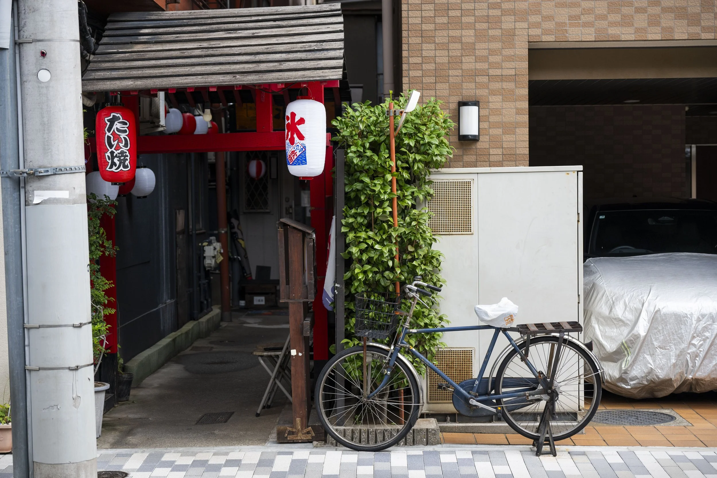 Japan 2026-076.jpg