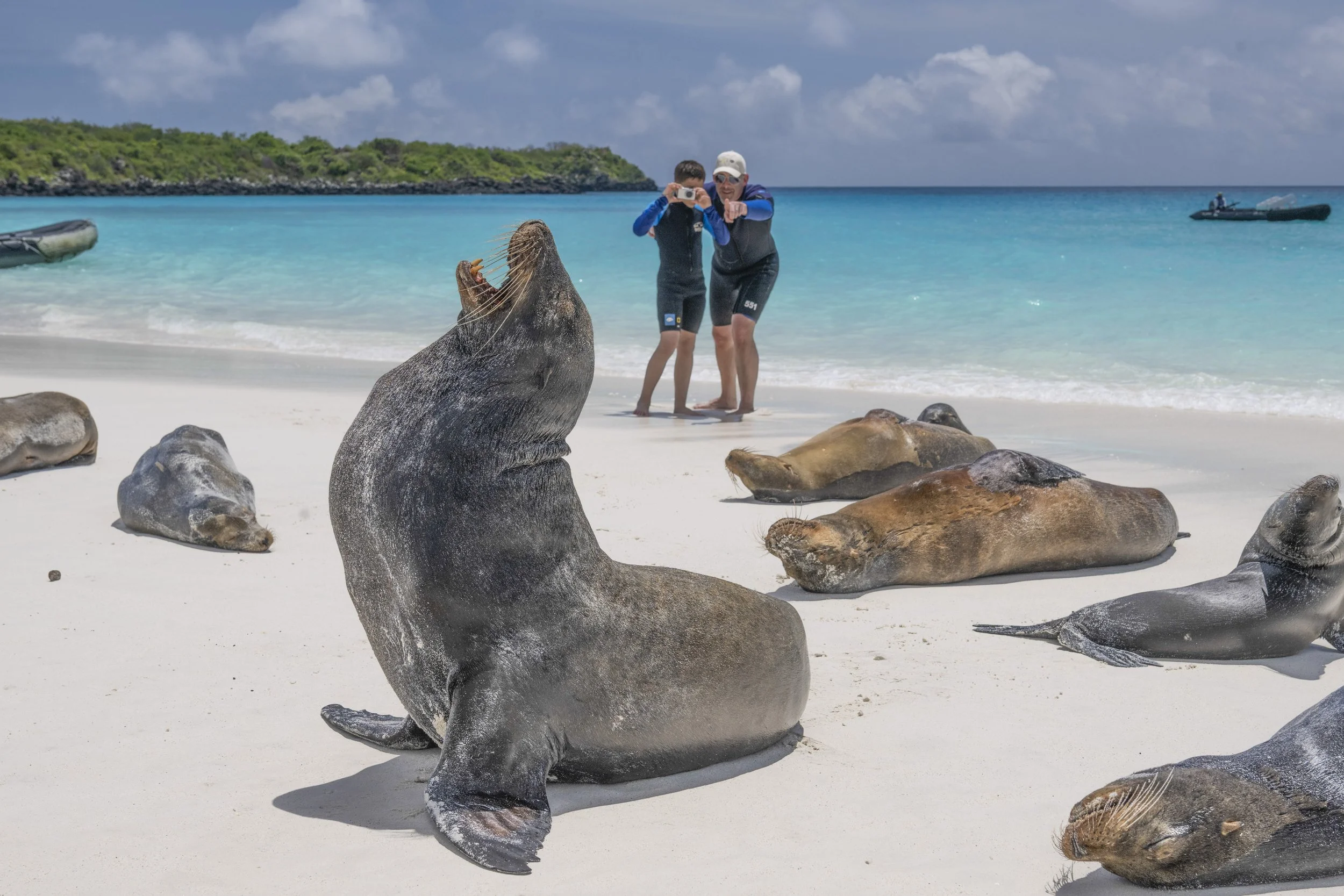 Espanola Island-3426_2.jpg