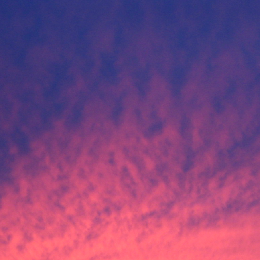 home image-01.png