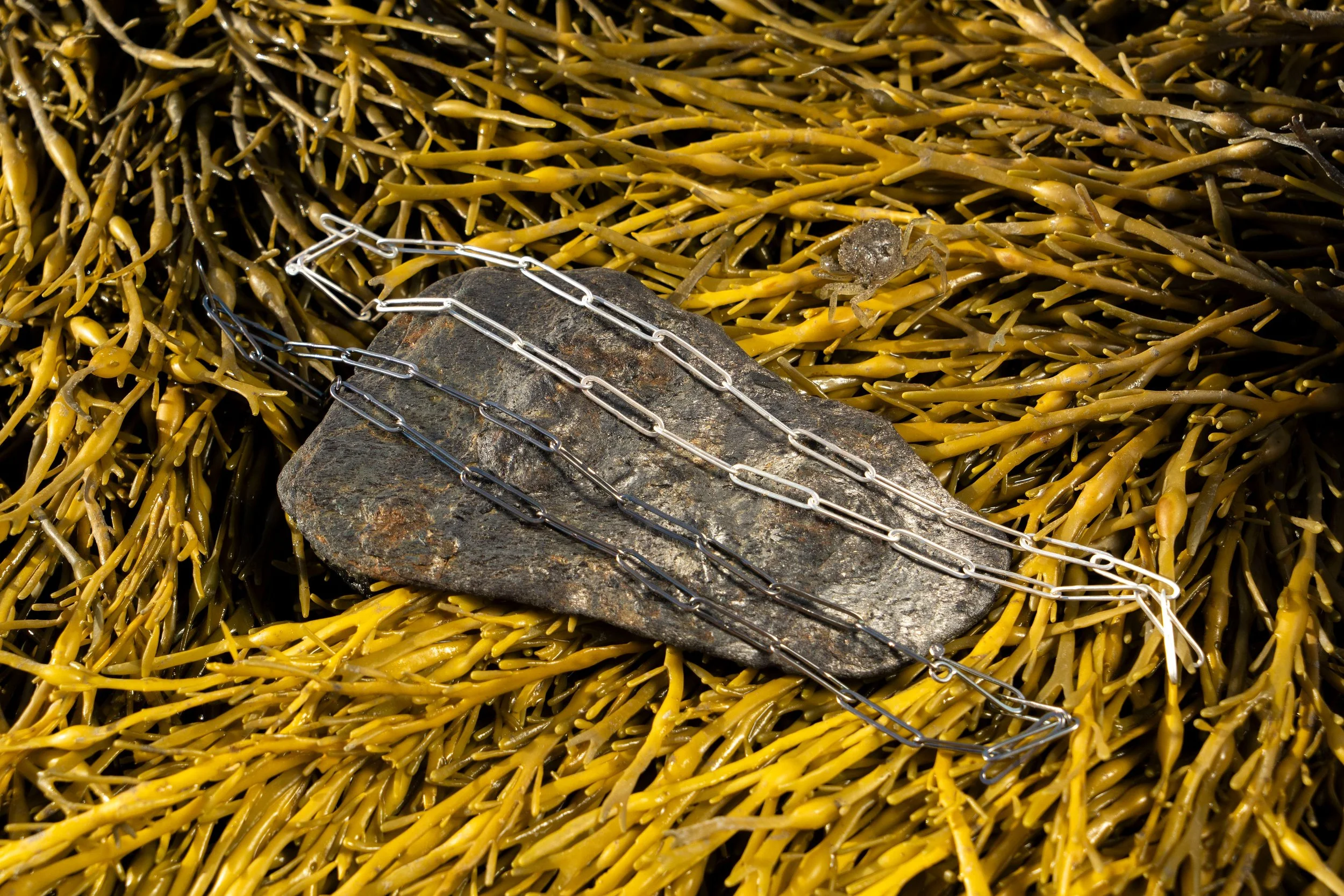 A7400632.JPG