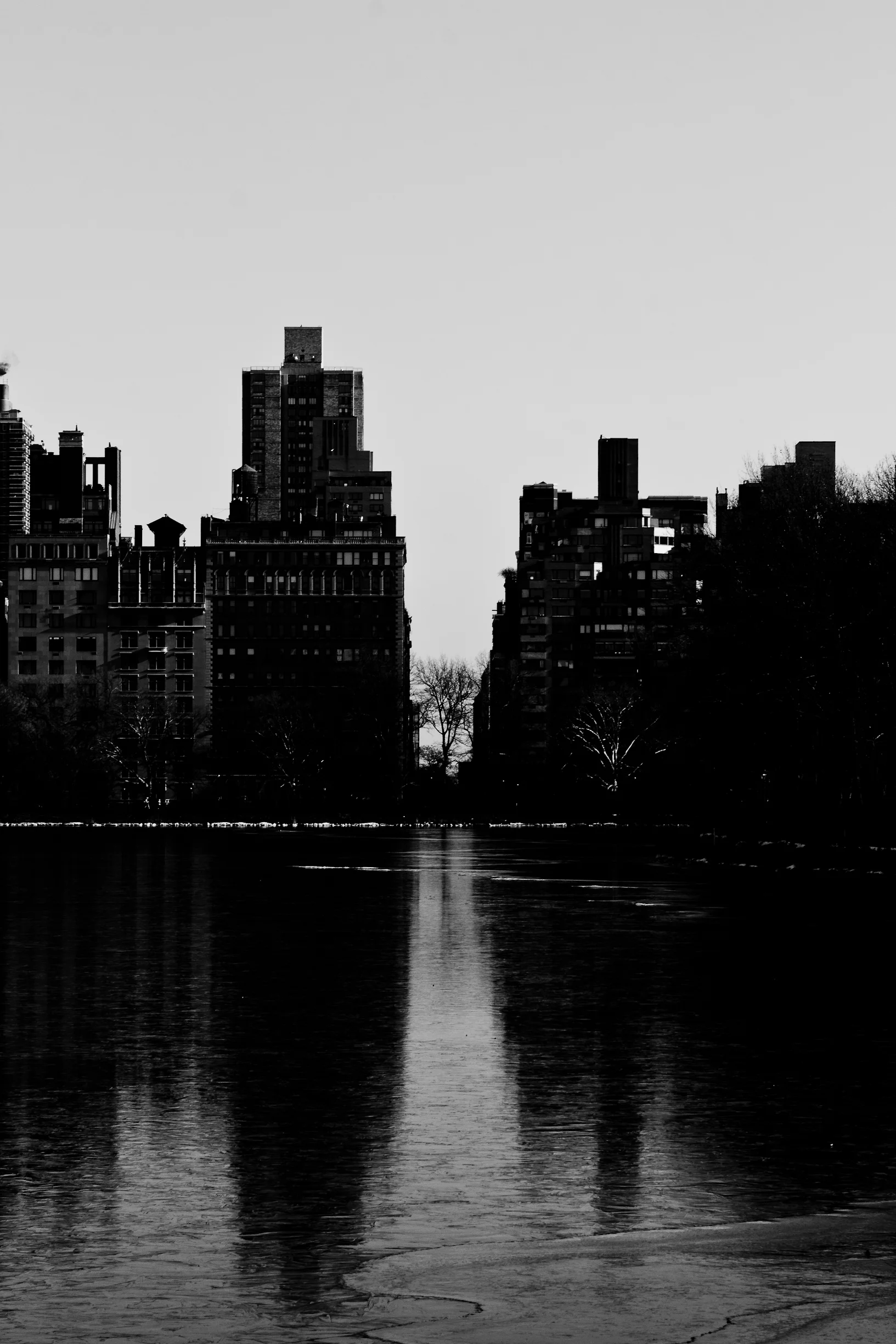 Central Park61January 09, 2014.jpg