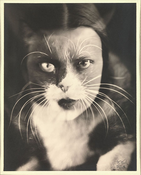 14._Io_gatto_(Cat_I)_Wanda_Wulz_.jpg