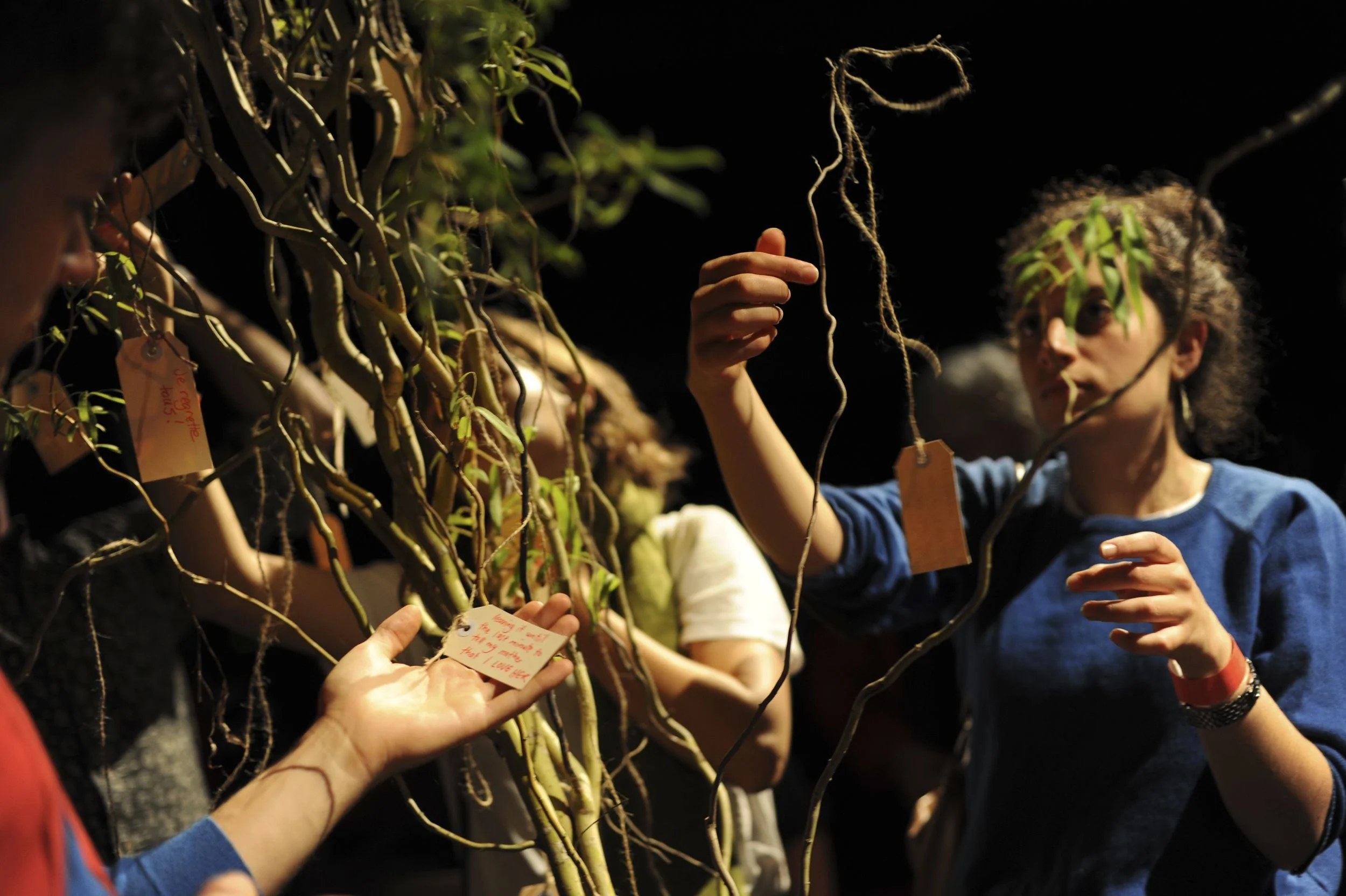 The Regret Tree , 2013 Performance Space, Sydney