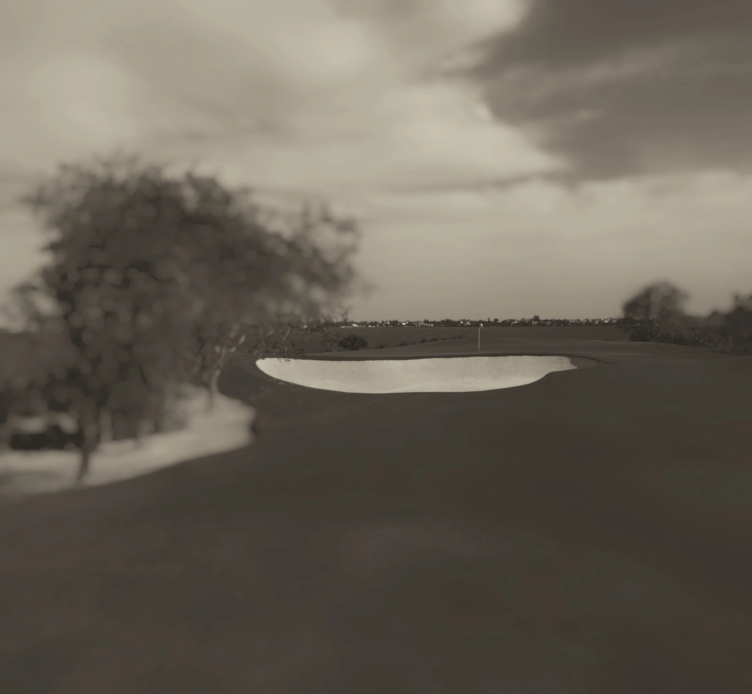 THE FLORIDIAN 17TH GREEN.jpg
