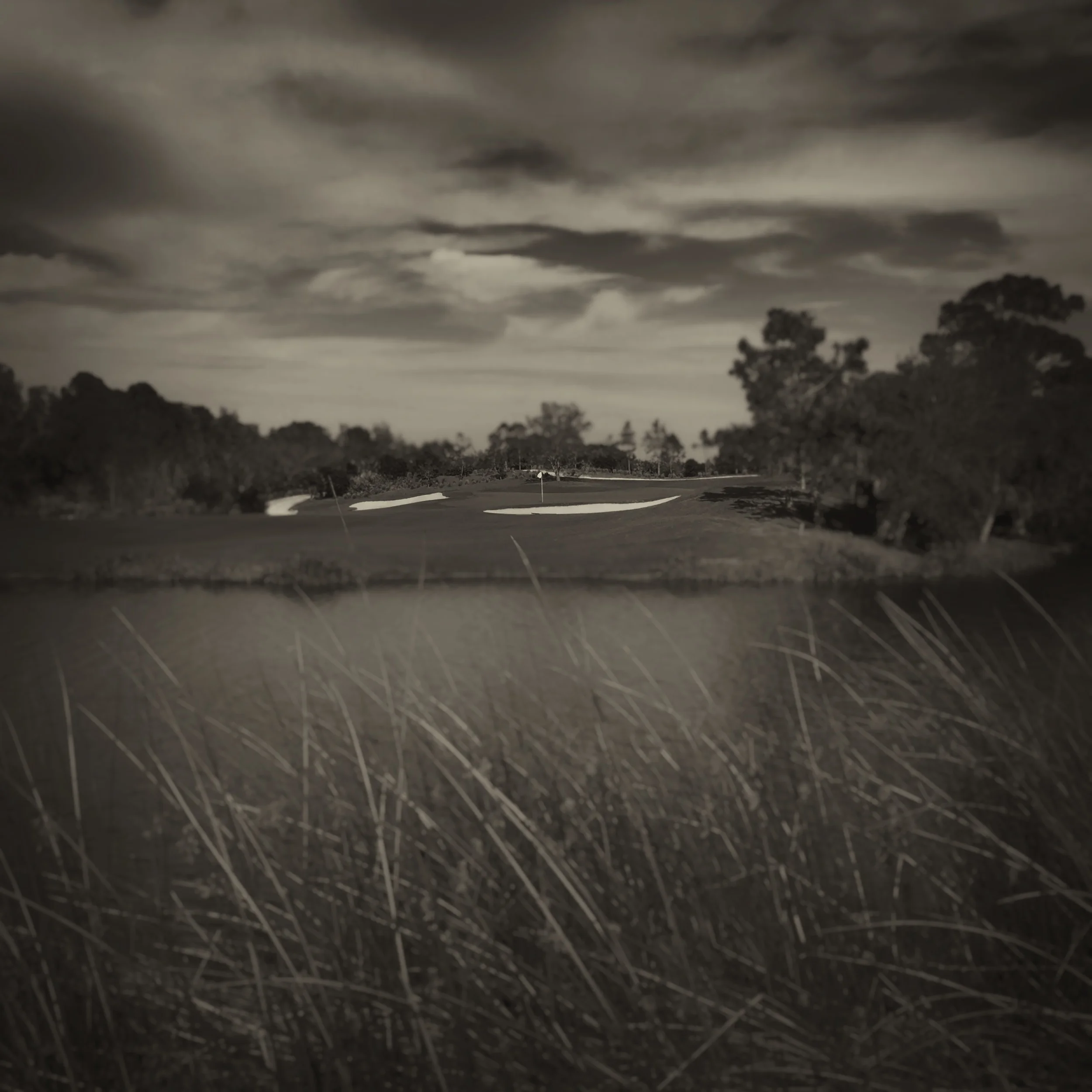 THE FLORIDIAN REEDS 2.jpg