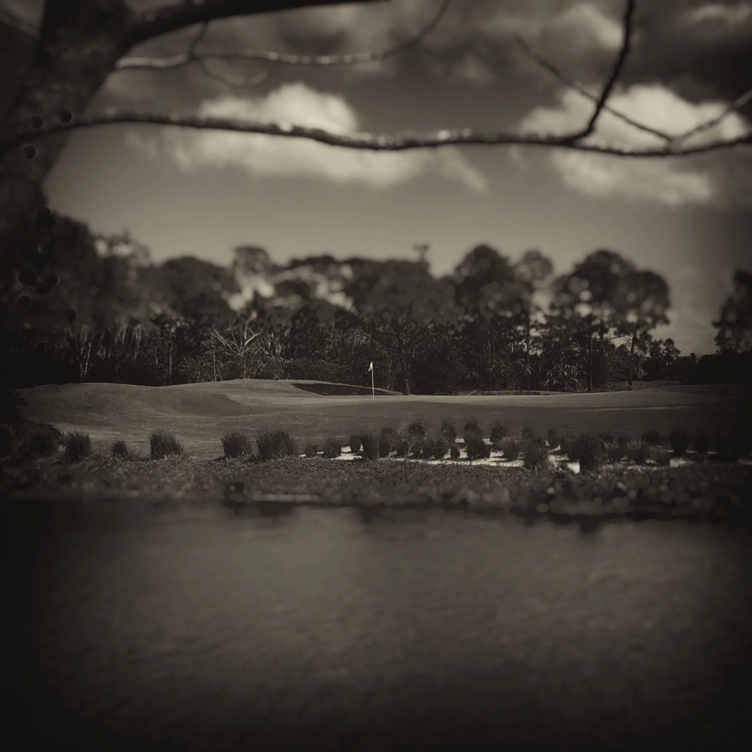 THE FLORIDIAN LAKE.jpg