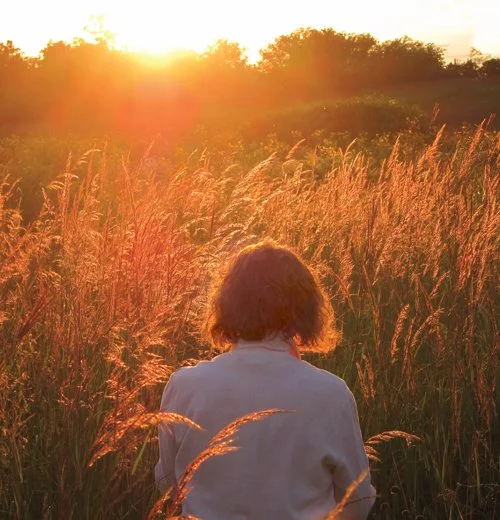 Healing extreme weather