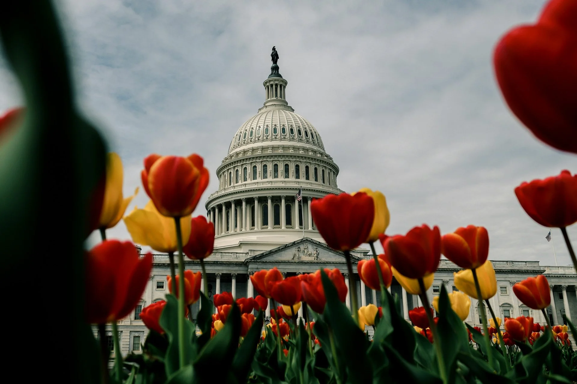 What are our politics?