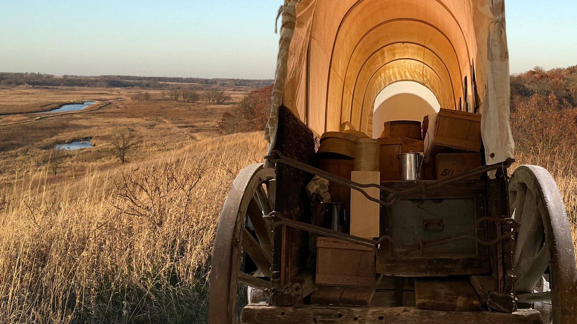 Pioneers in a new harvest