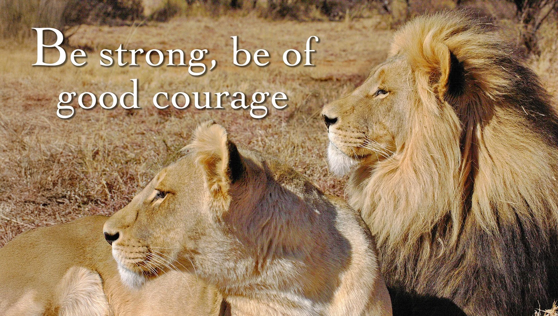 Be strong, be of good courage