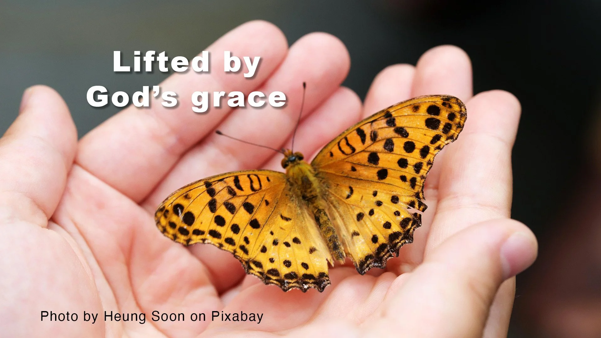 Grace that lifts