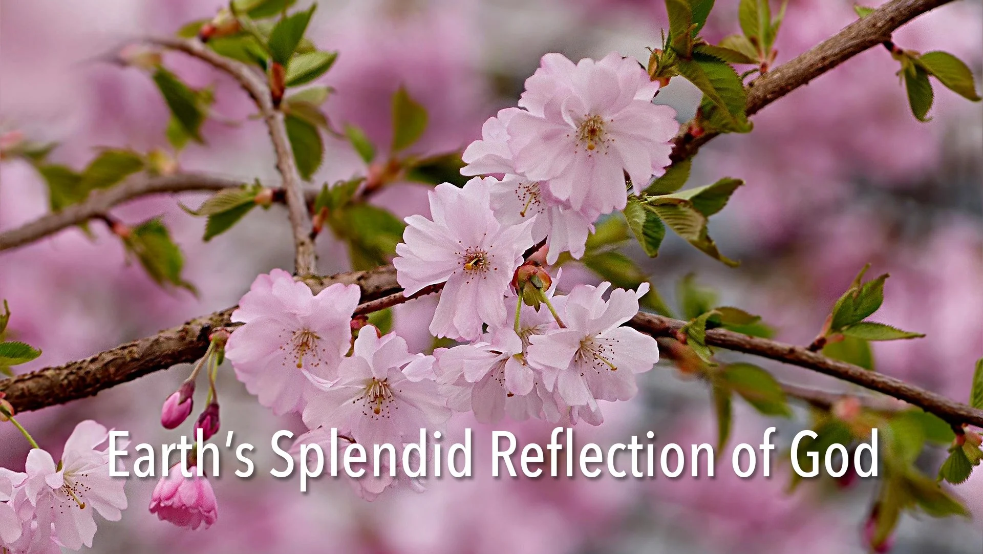 Earth's splendid reflection of God