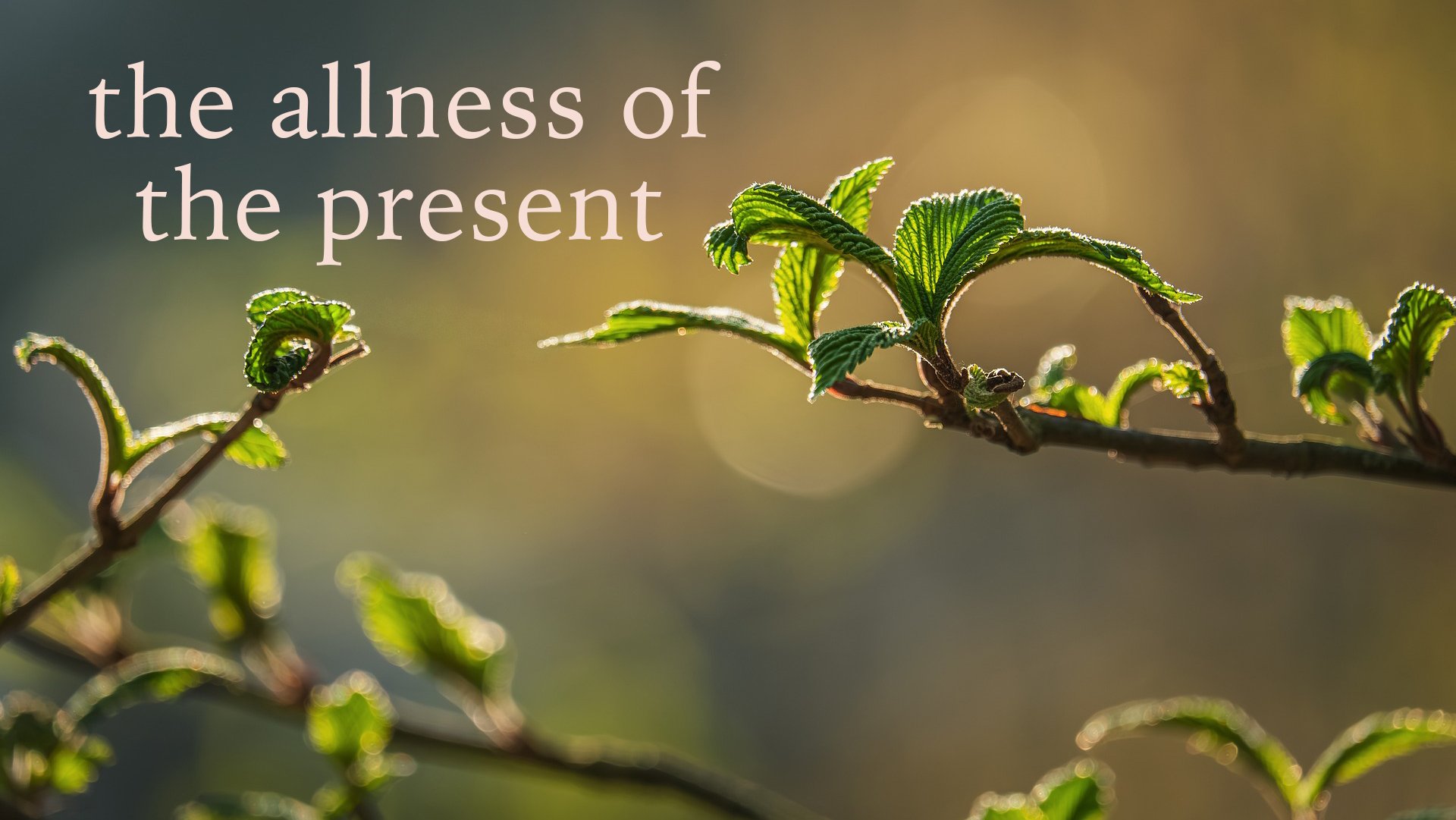 The allness of the present