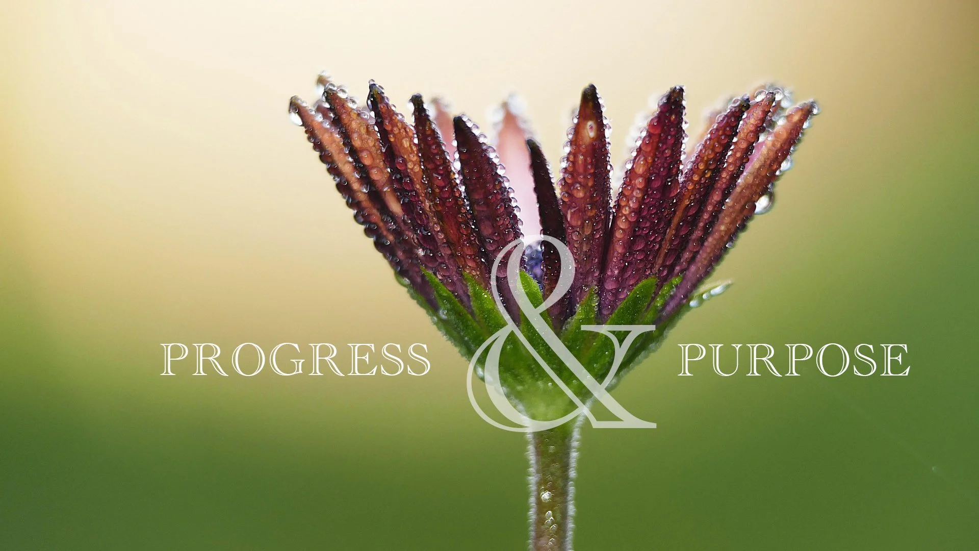 Purpose and progress