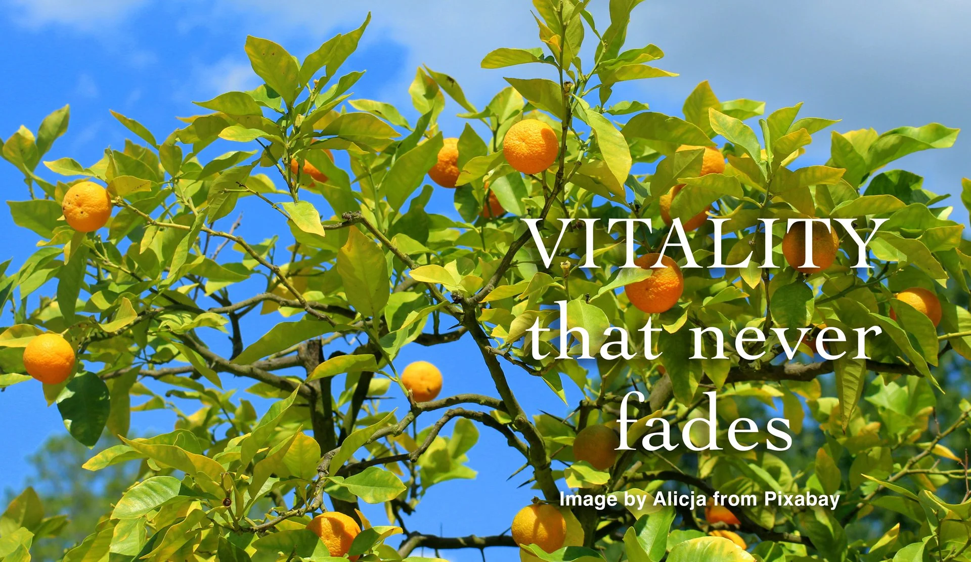 Vitality that never fades