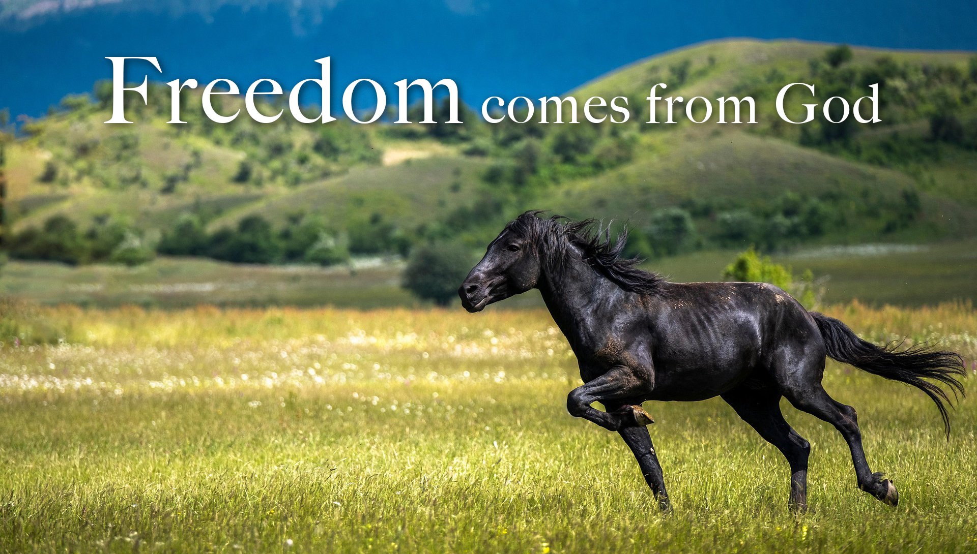 Freedom comes from God