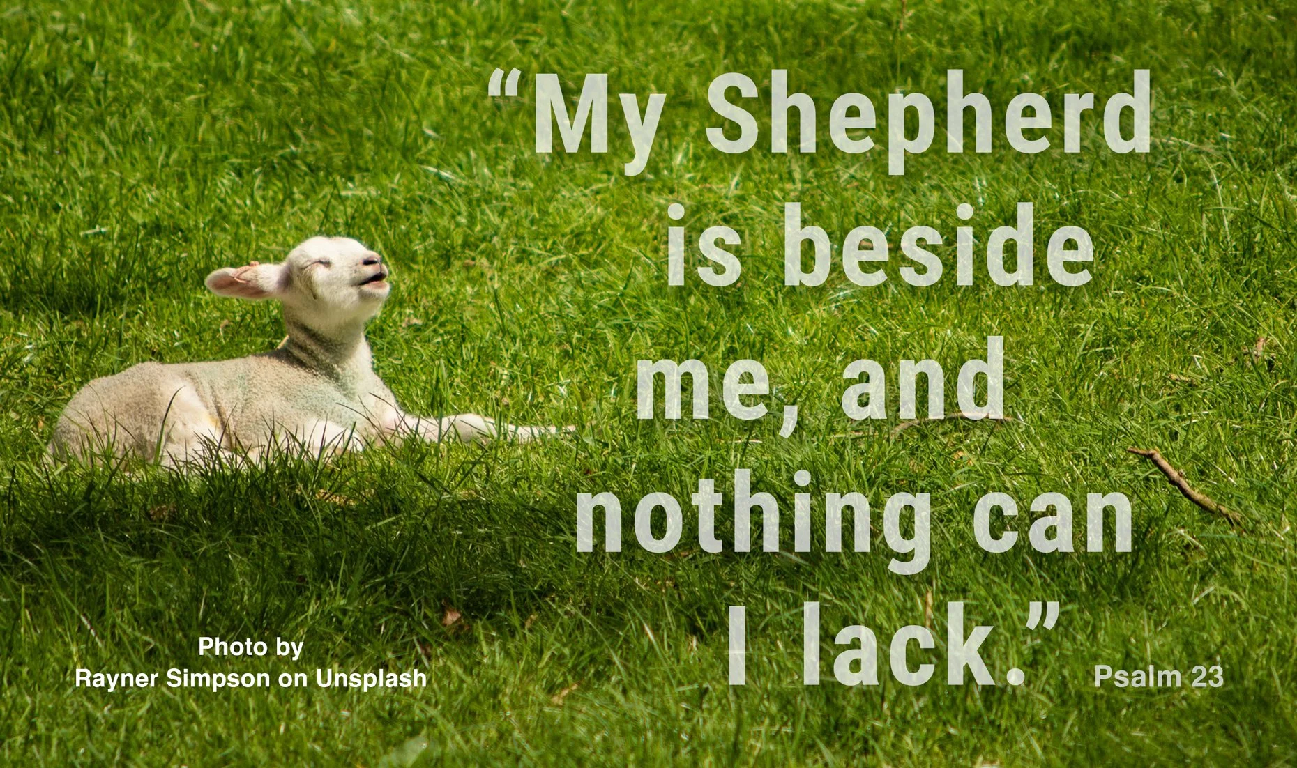 My Shepherd is beside me