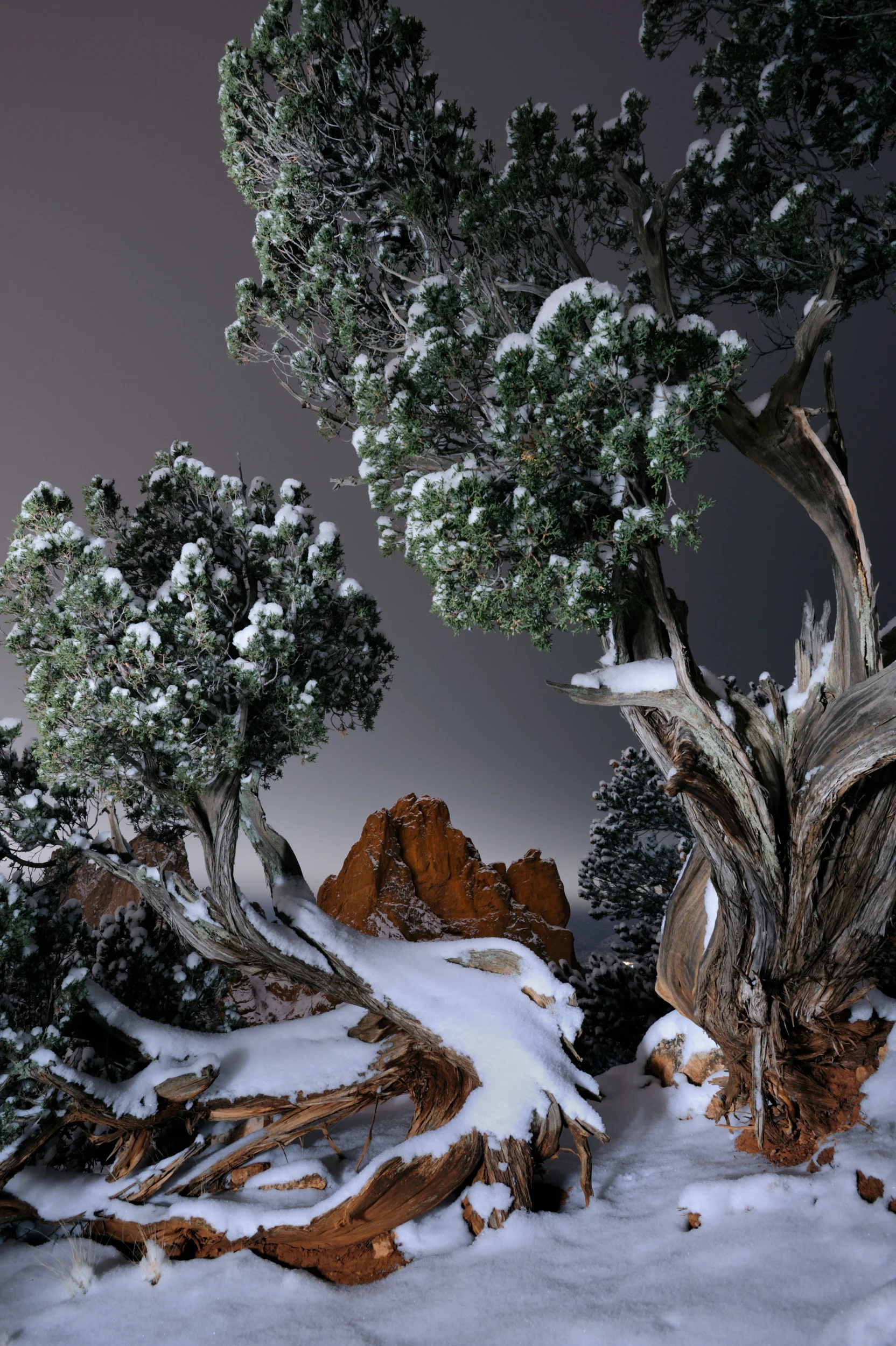©Doug Bennett Photography - Garden of the Gods
