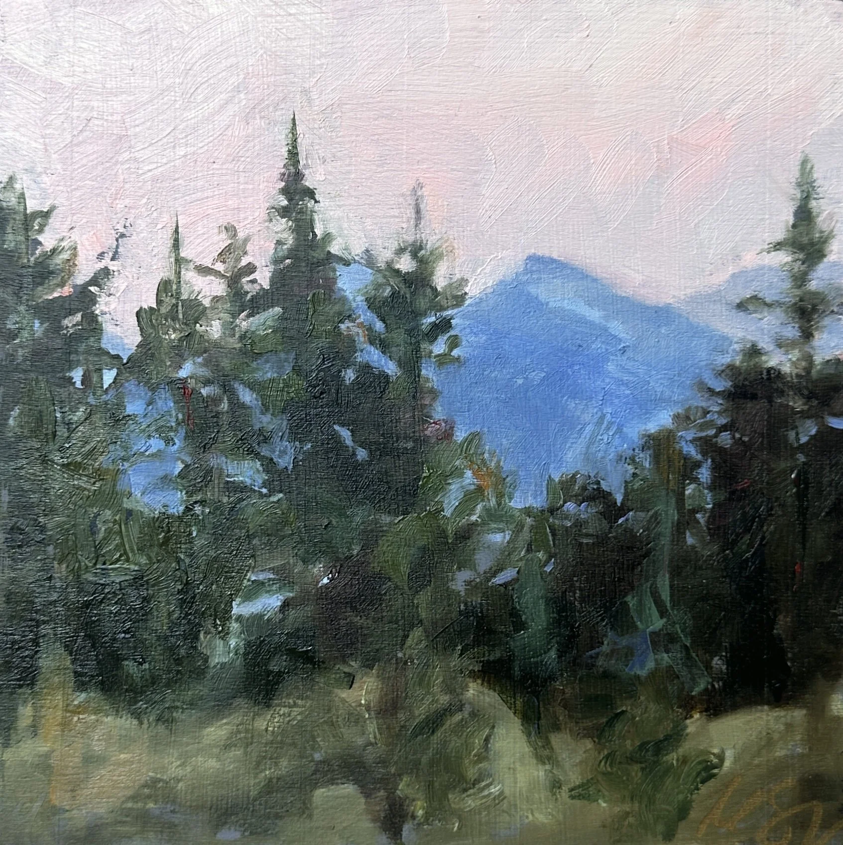 Mallory Sharp - Between the Pines 6" x 6" 