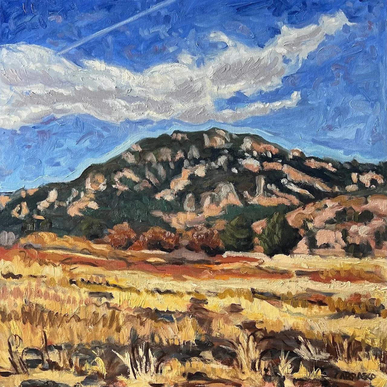 Lupita Carrasco - The State Park Has Benches 20"x20"