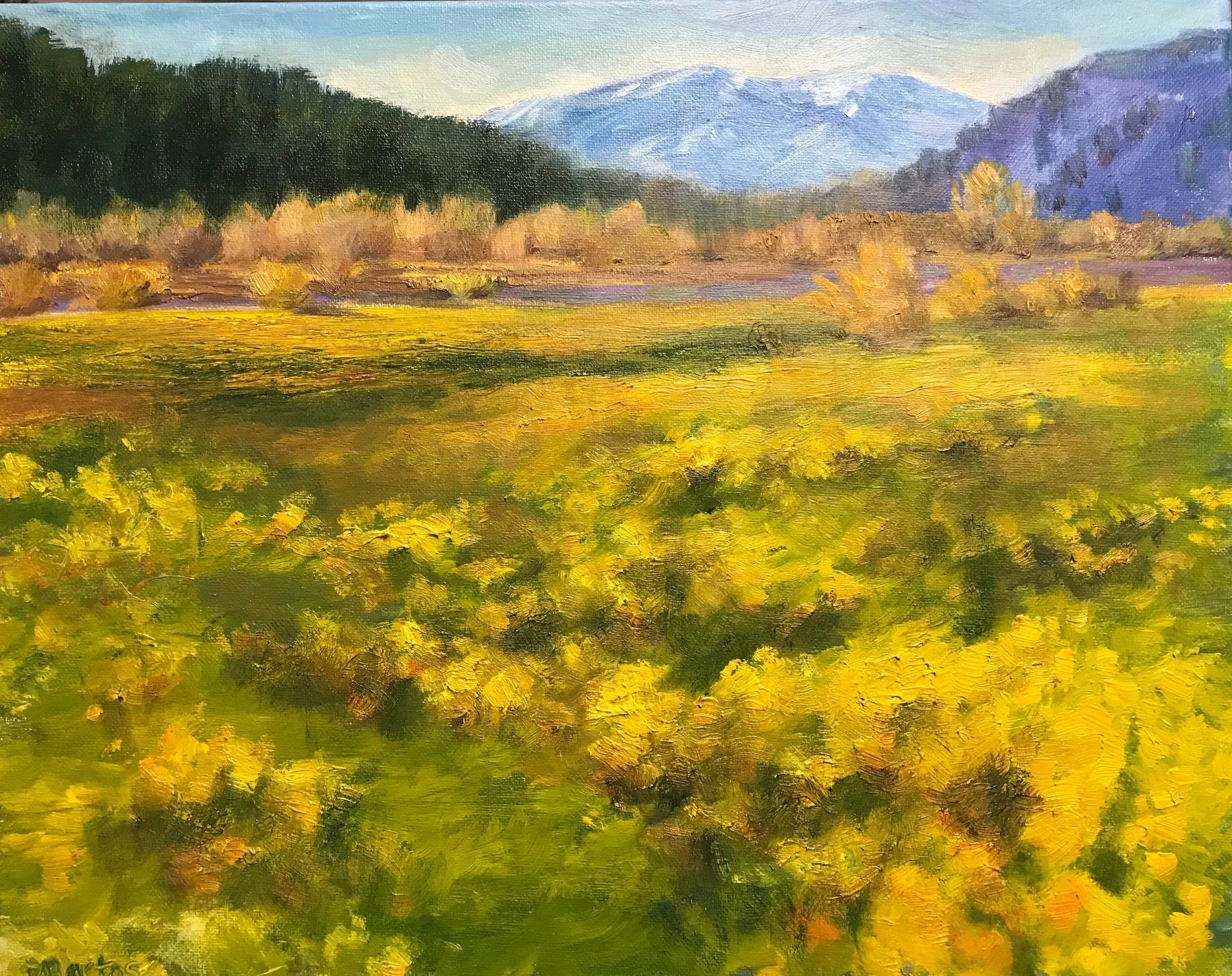 Deb Bartos Telluride Spring 20"x16" 