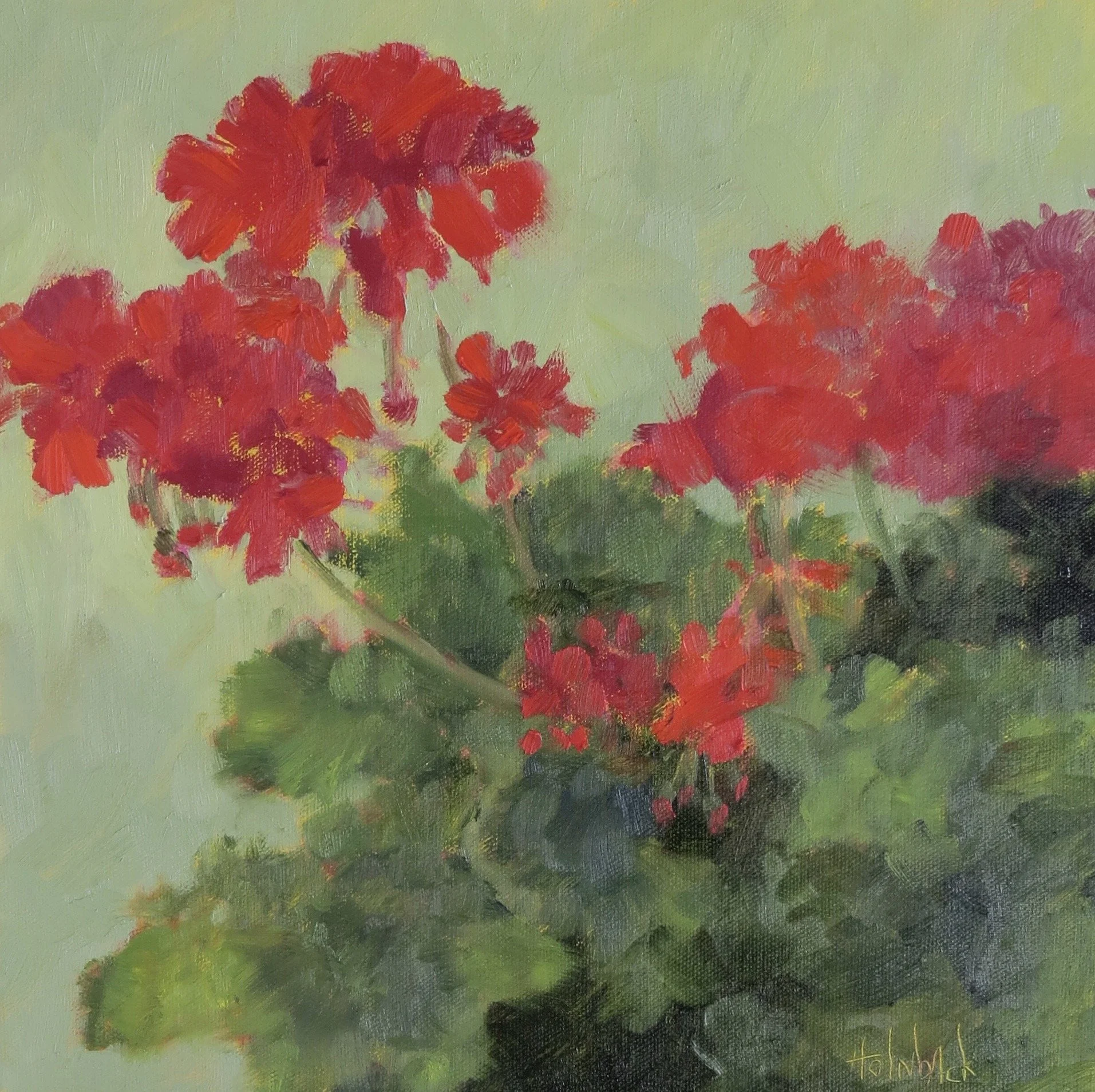 Spring Geraniums