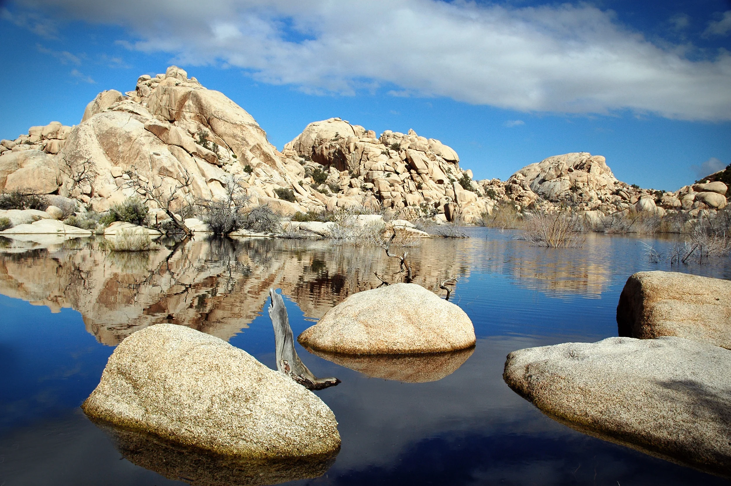 Joshua Tree National Park