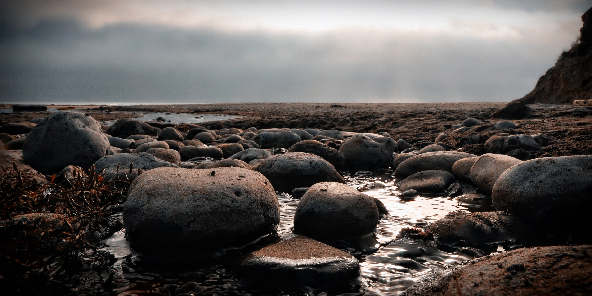 Point Reyes National Seashore, CA