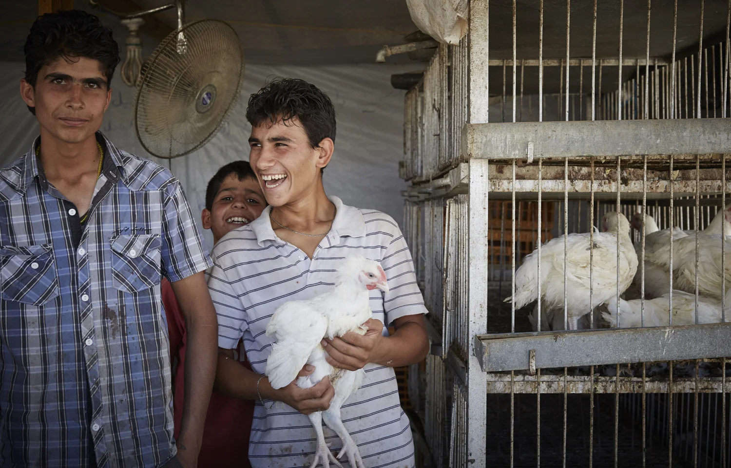 Refugees-22.jpg