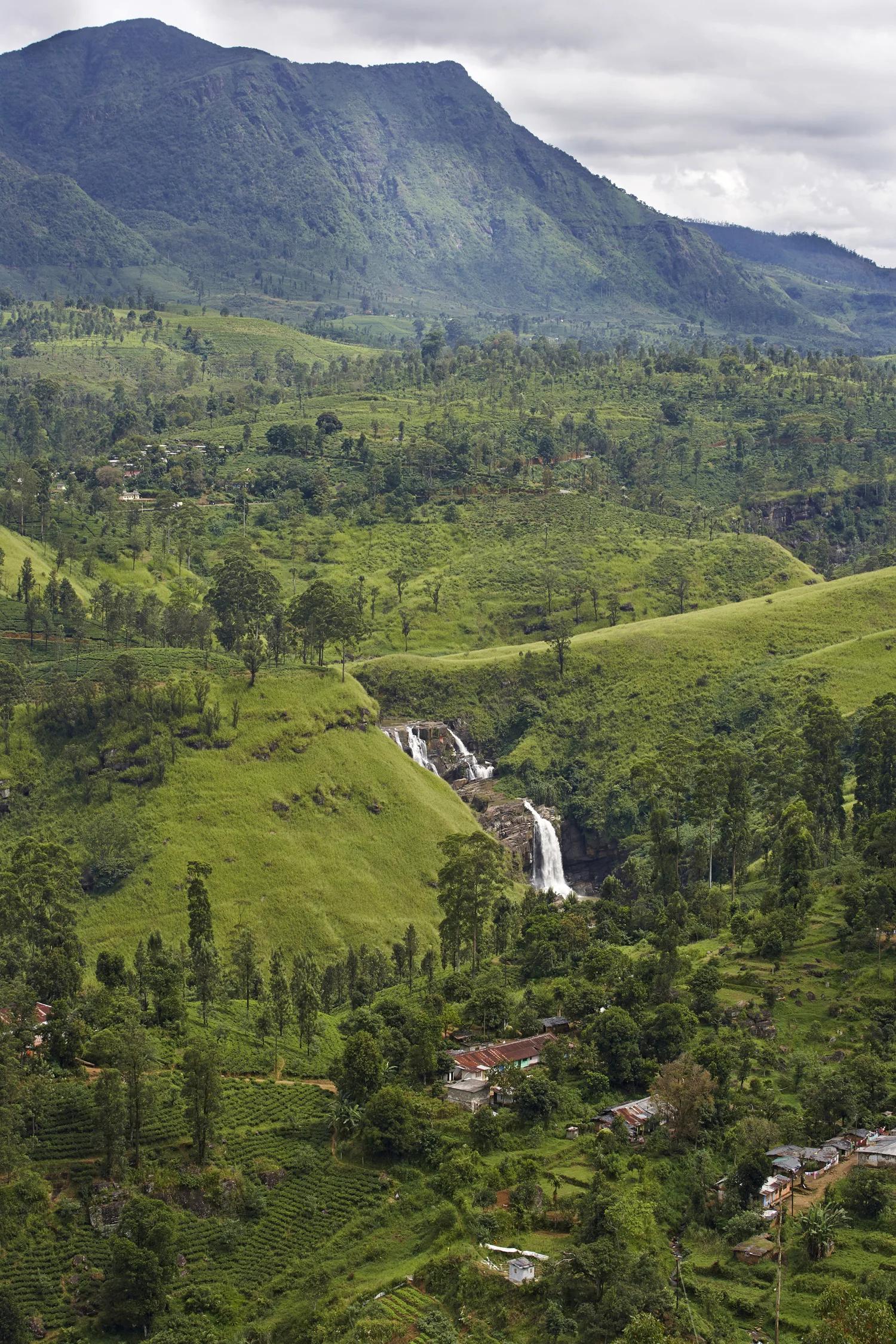 SriLanka-02.jpg
