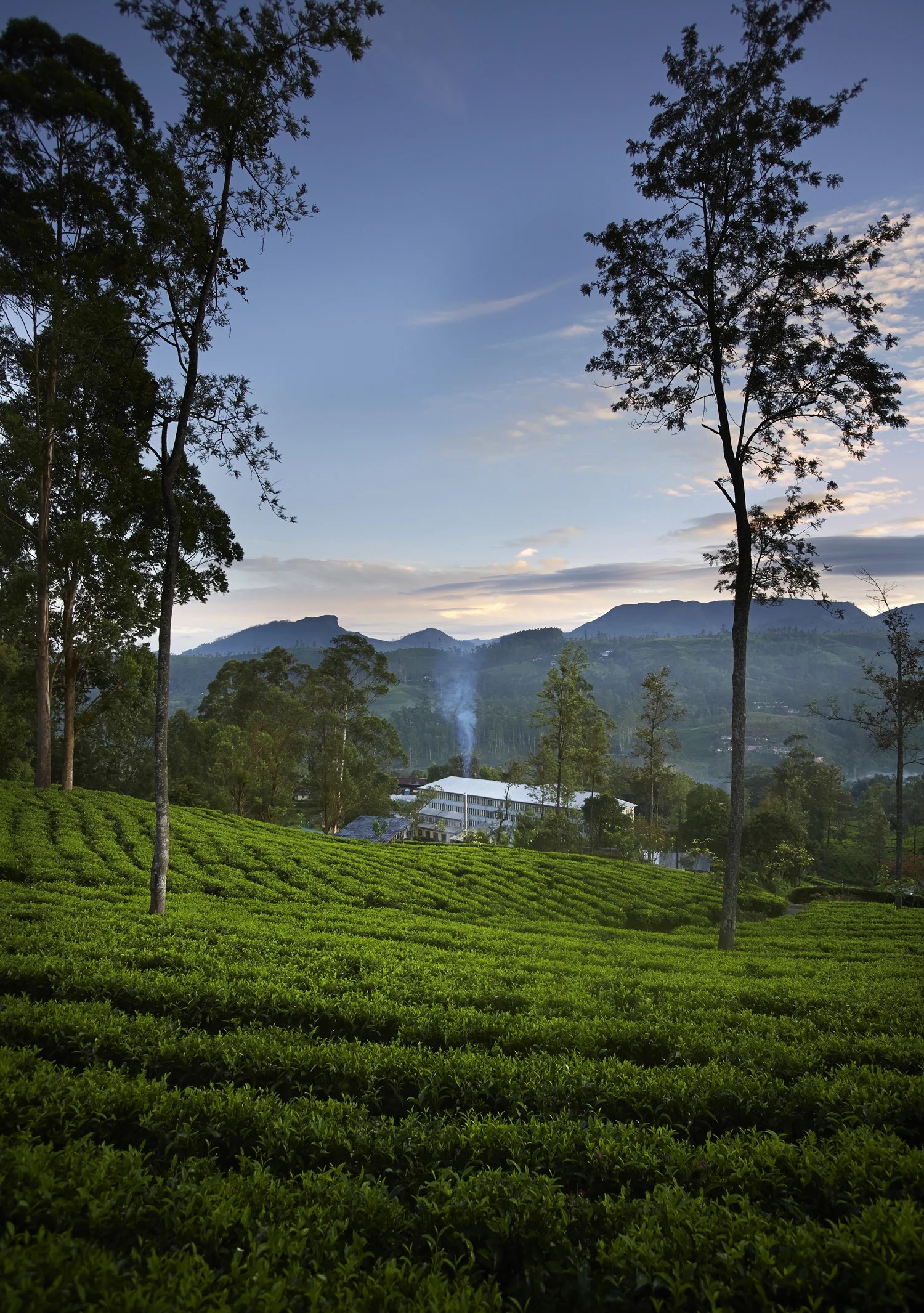 SriLanka-13.jpg