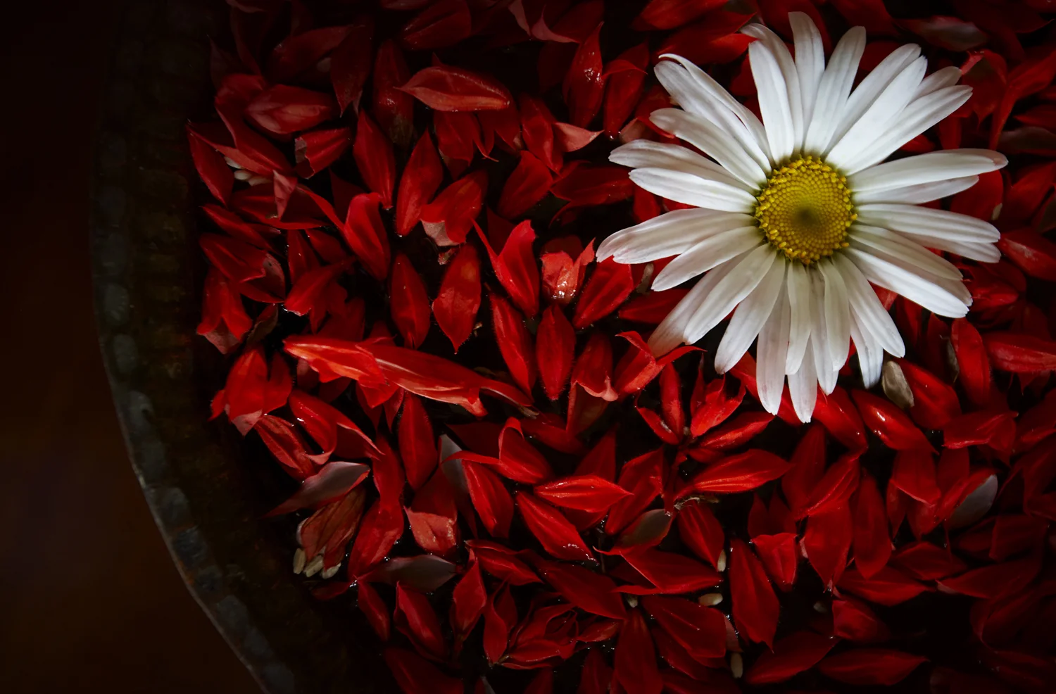 SriLanka-20.jpg