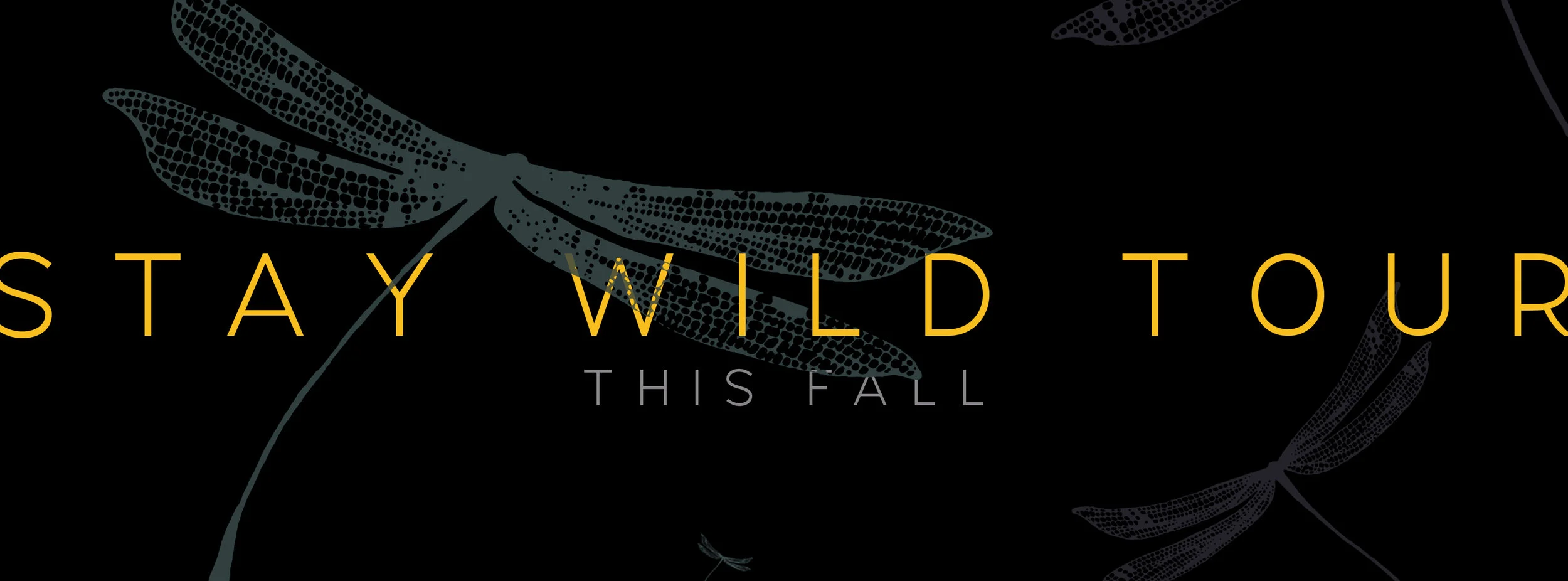 Korbee - Stay Wild Tour - Facebook Cover Photo.jpg