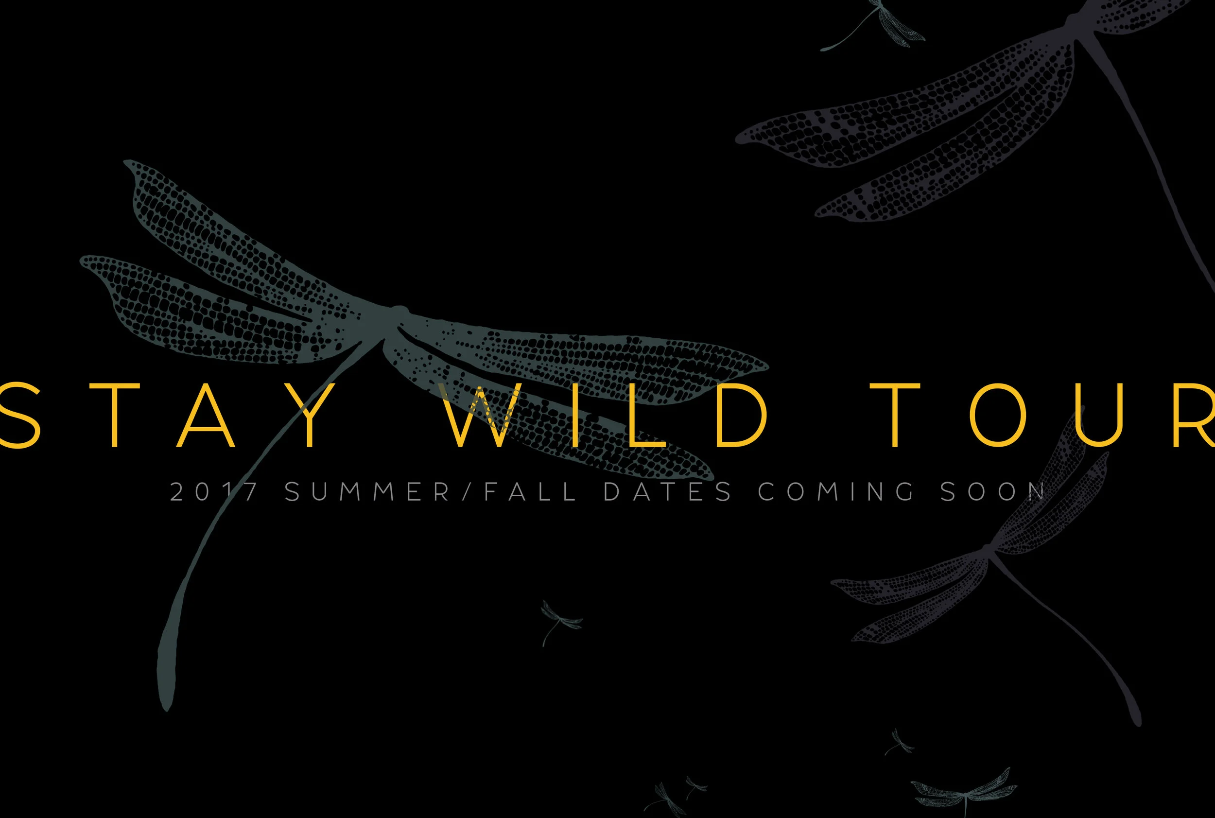 Korbee - Stay Wild Tour - 2017 Summer Dates.jpg