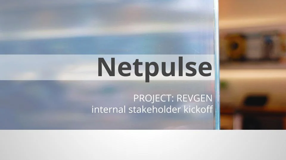 Netpulse - Work samples.jpg