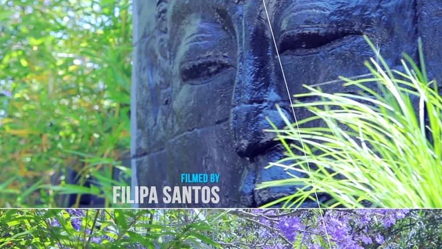 Real Estate show reel