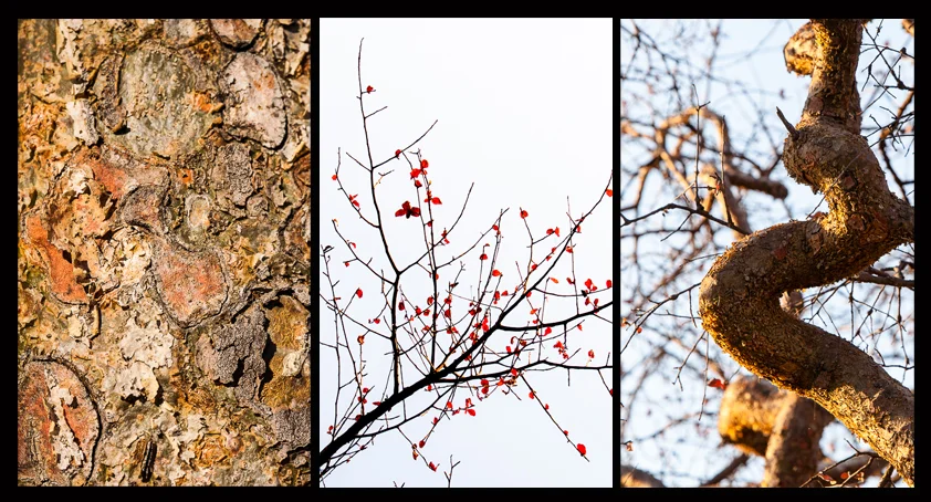 A tryptich of textures