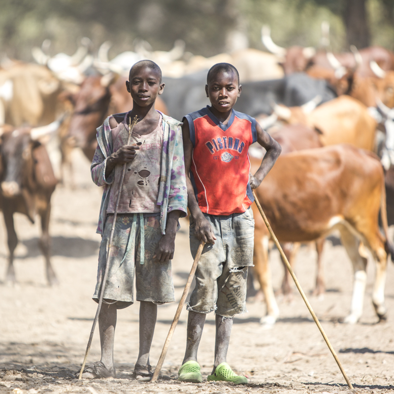 Young boys are taught to herd and protect the family's cattle from an early age. The number of cattle a family has is a sign of their wealth. Cahama, Cunene Provence ©24Atlantic