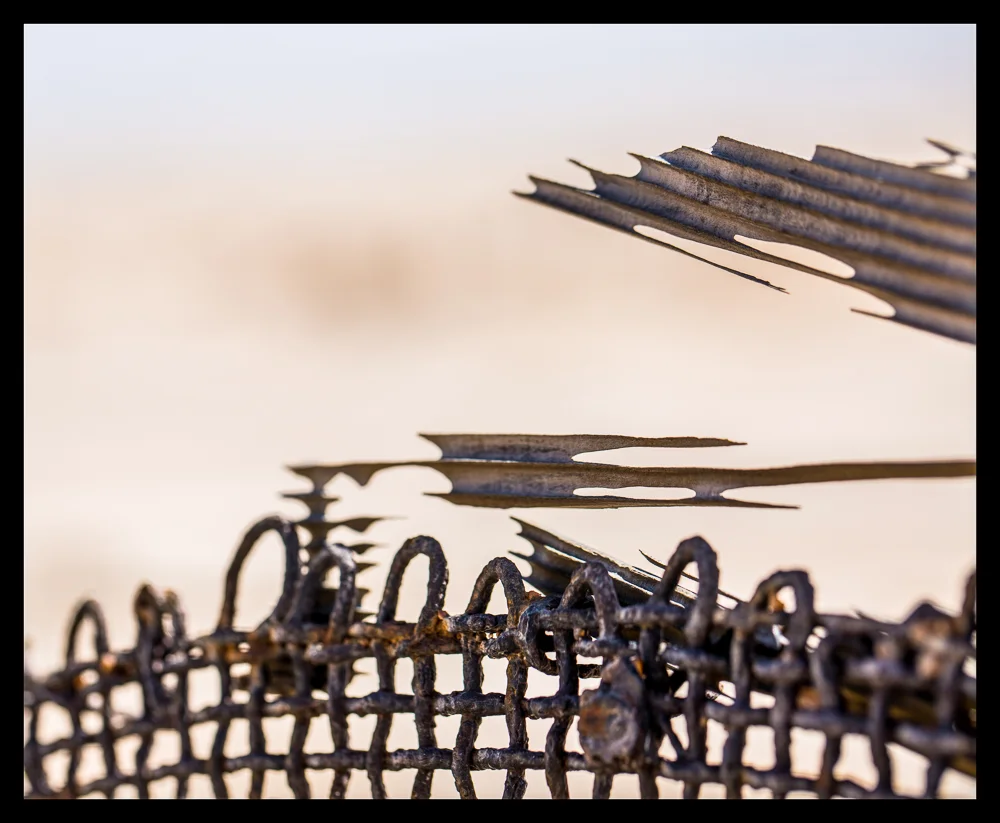 Desert Treasures --15.jpg