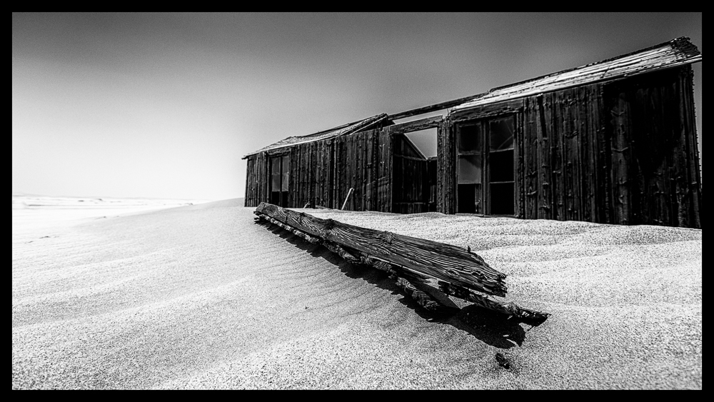 Desert Treasures B&W--5.jpg