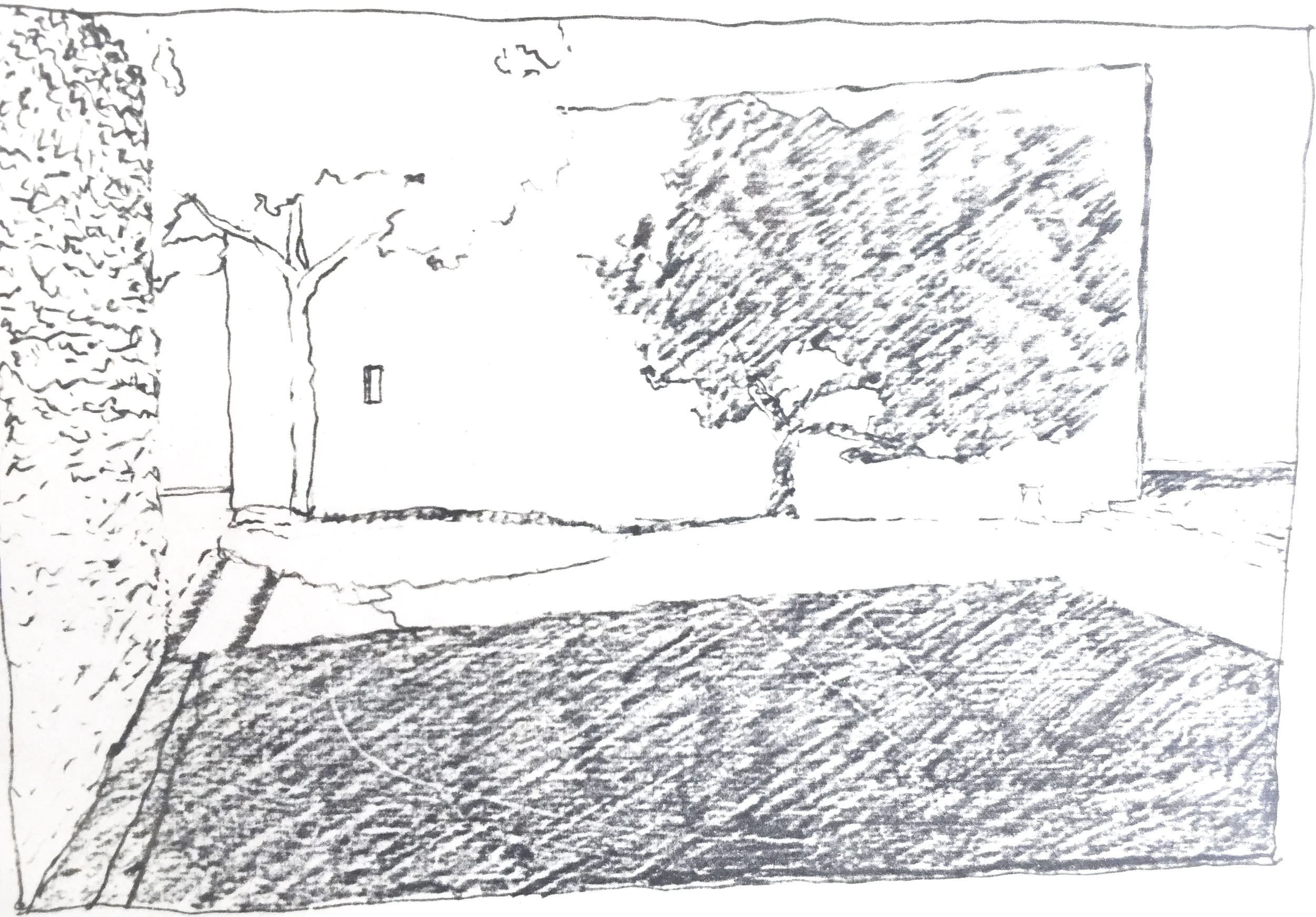 fullsizeoutput_2a68.jpg