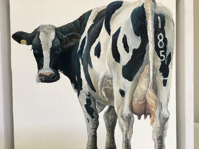 I love all the angles of the cow, even the bottom view.
#cowart #cows #oilpainting #animalart #friesianpaintings